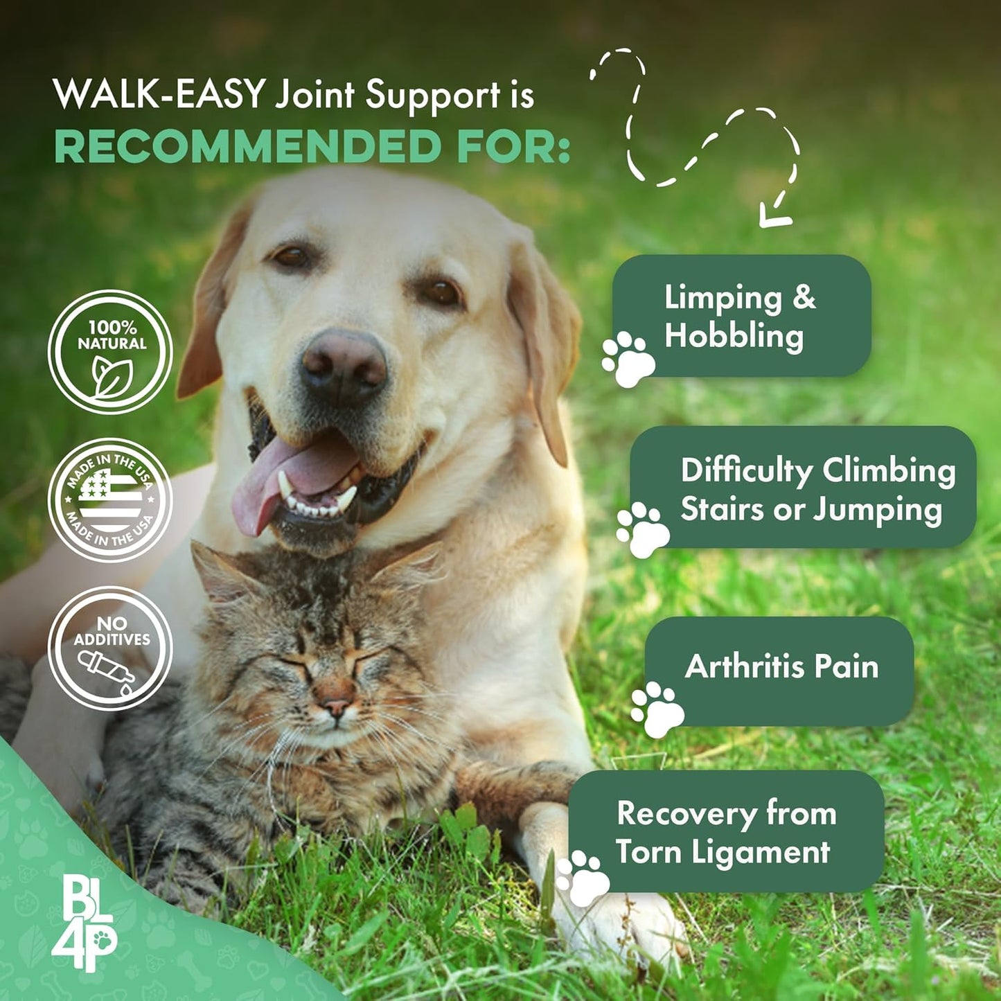 Walk-Easy Cat & Dog Joint Pain Relief, Effective Cat Pain Reliever, anti Inflammatory & Natural Dog Hip and Joint Supplement Helps with Mobility, Limping, Hip Dysplasia and ACL Tear, 400 Small Pills