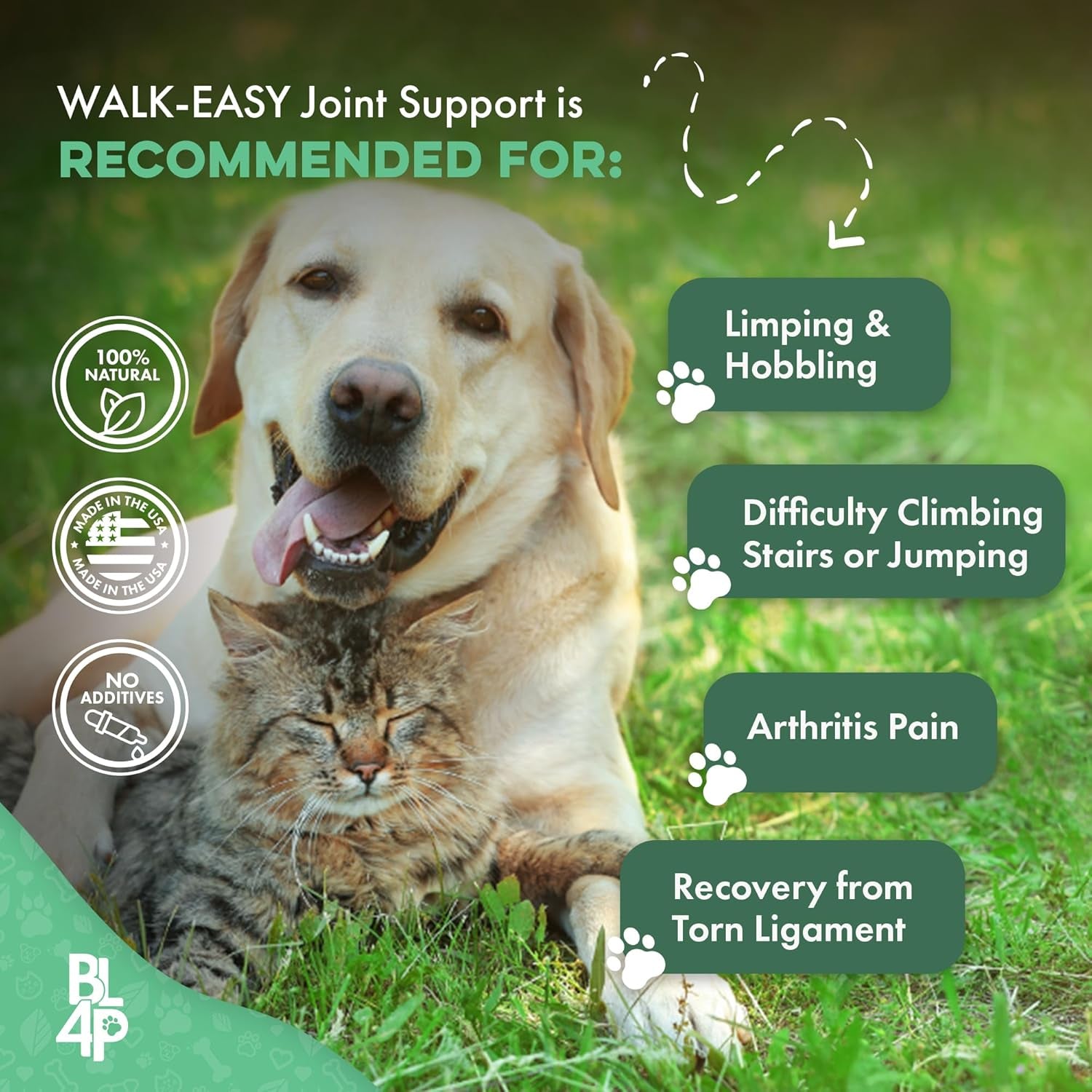 Walk-Easy Cat & Dog Joint Pain Relief, Effective Cat Pain Reliever, anti Inflammatory & Natural Dog Hip and Joint Supplement Helps with Mobility, Limping, Hip Dysplasia and ACL Tear, 400 Small Pills