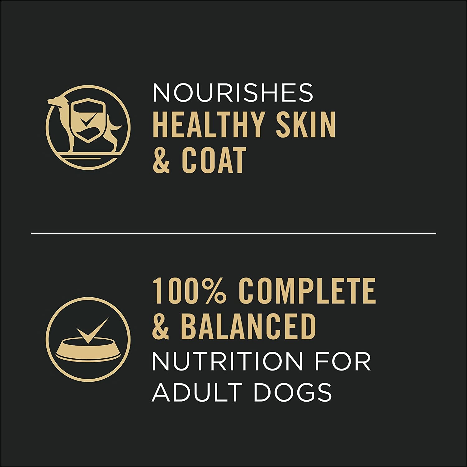 Complete Essentials, Beef and Vegetables Entree in Wet Dog Food Gravy - (Pack of 12) 13 Oz. Cans
